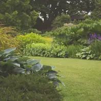 Trimming and Pruning Services